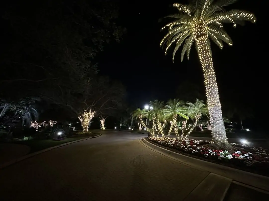 Community entry drive lined with warm white lit palms and flowering beds