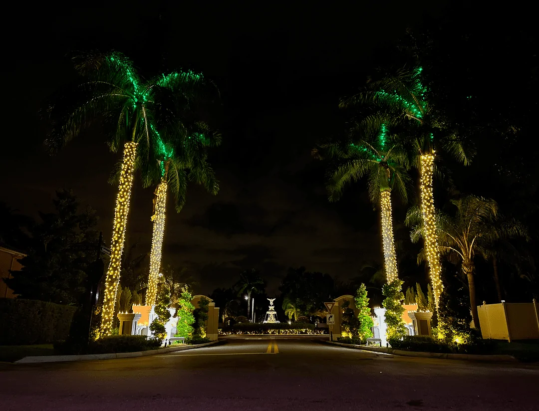 Gated community entrance with wrapped palms and a lit fountain vista
