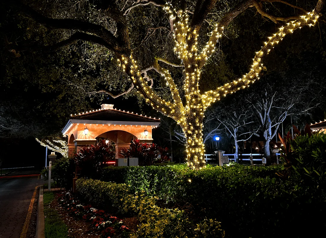 Community gazebo and oak trees draped in warm string lights