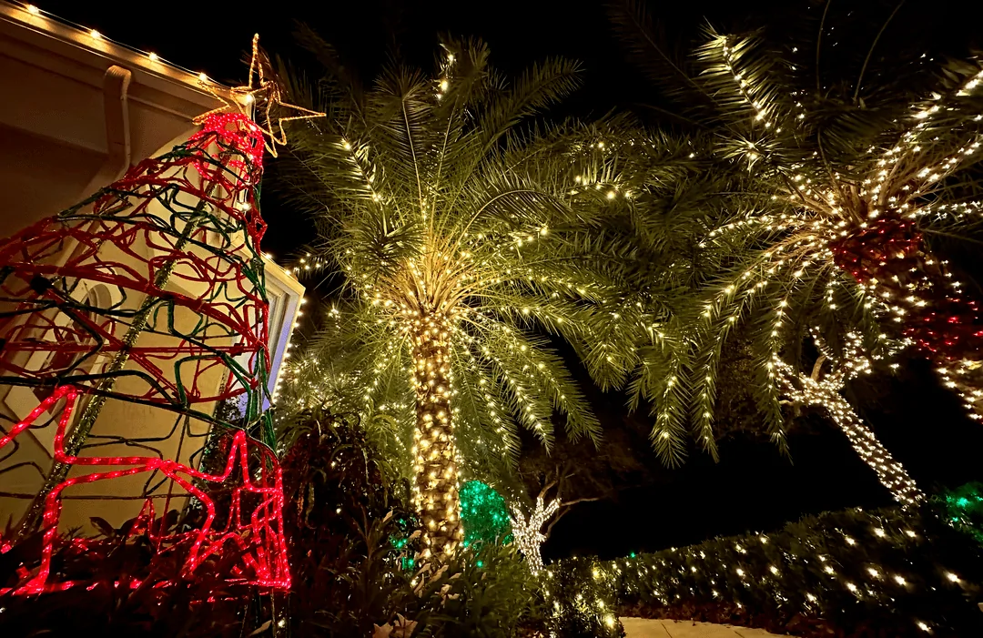 Tree lit in red beside palms in a holiday lighting display