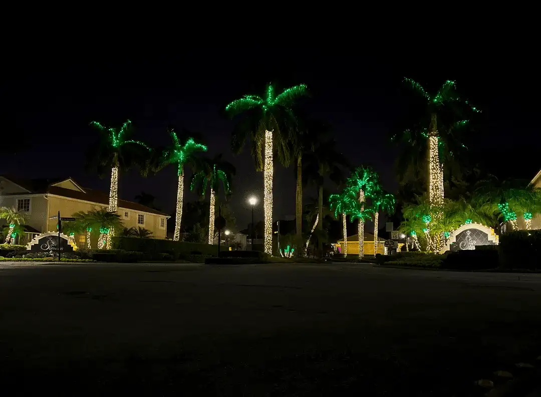 Wide night view of a South Florida community entrance with palms wrapped in warm white holiday lights