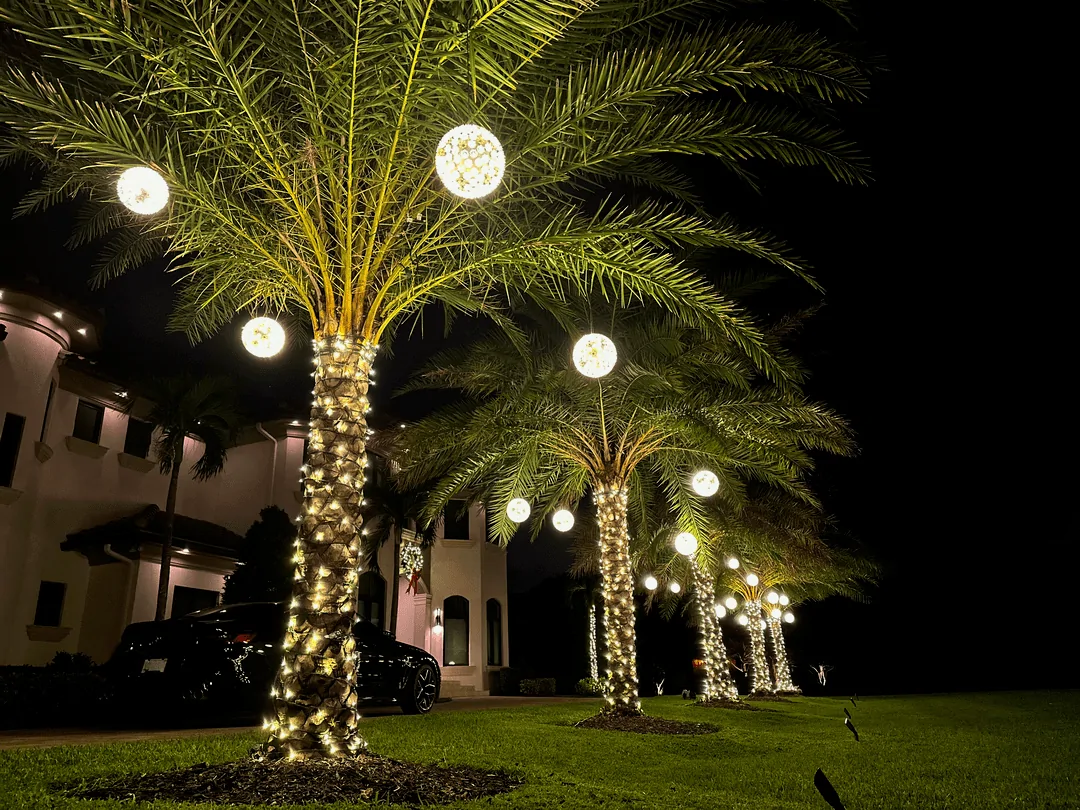 Palm trees with warm white trunk wraps beside glowing lit orbs