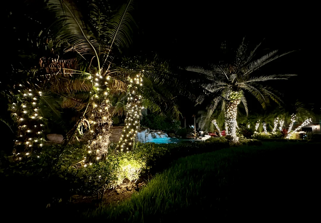 Poolside palm trees wrapped in warm white lights in a landscaped yard